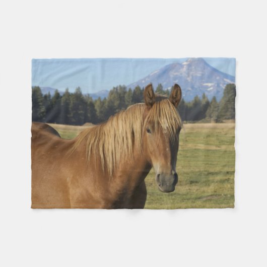 Couverture Polaire Plage Cascade | Cheval de châtaignes (Devant (Horizontal))