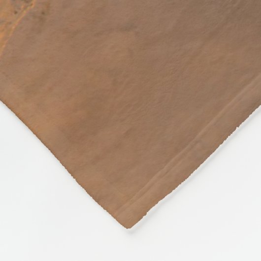 Couverture Polaire Plage de corégones | Corégone, Montana (Coin)