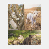 Couverture Polaire plaid de photos d'animaux mignons (Devant)