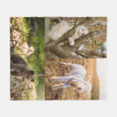 Couverture Polaire plaid de photos d'animaux mignons (Devant (Horizontal))