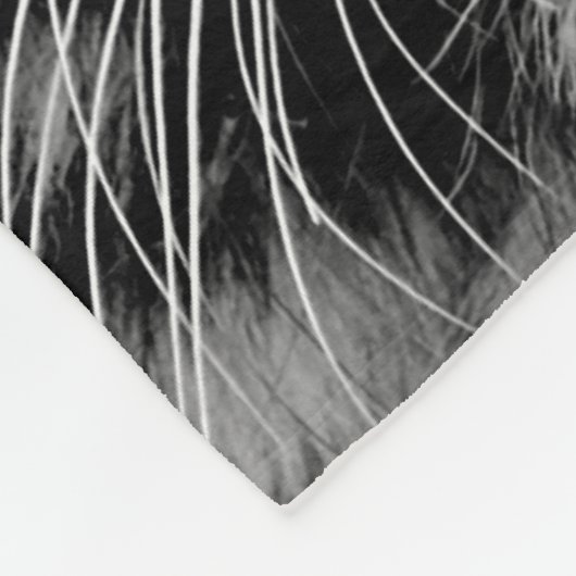 COUVERTURE POLAIRE PLAN RAPPROCHÉ BLANC DE VISAGE DE TIGRE (Coin)