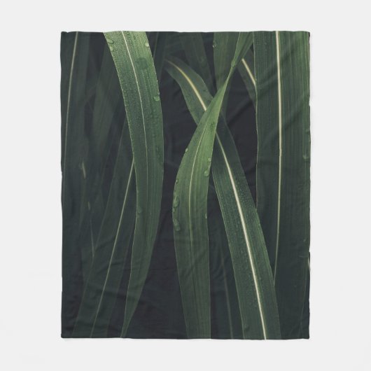 COUVERTURE POLAIRE PLANTE VERT (Devant)