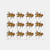 Couverture Polaire Platon ornithorynque funambule (Devant (Horizontal))