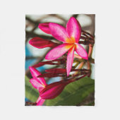 Couverture Polaire Plumeria arrière - plan de fleurs exotiques (Devant)