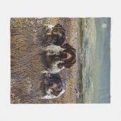 Couverture Polaire Pointeurs allemands à poils courts (Devant (Horizontal))