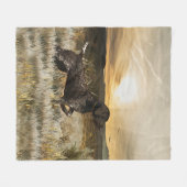 Couverture Polaire Pointeurs germains (GSP) (Devant (Horizontal))