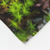 Couverture Polaire Poisson Koi dans un étang (Coin)