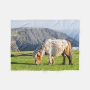 Couverture Polaire Poney Shetland dans un pâturage près de hautes fal