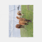 Couverture Polaire Poney Shetland sur le pâturage près de hautes fala (Devant)