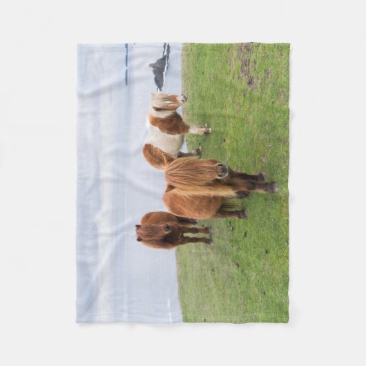 Couverture Polaire Poney Shetland sur le pâturage près de hautes fala (Devant)