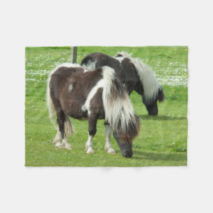 Couverture Polaire Poneys de peinture Shetland pur-sang