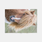 Couverture Polaire Pony Shetland sur l'île d'Unst (Devant (Horizontal))