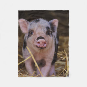 Couverture Polaire Porc mignon doux