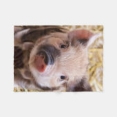 Couverture Polaire porcelet (Devant (Horizontal))