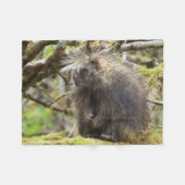 Couverture Polaire Porcupine déterminé (Devant (Horizontal))