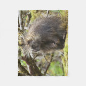 Couverture Polaire Porcupine déterminé (Devant)