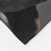 Couverture Polaire Portrait de cheval II (Coin)