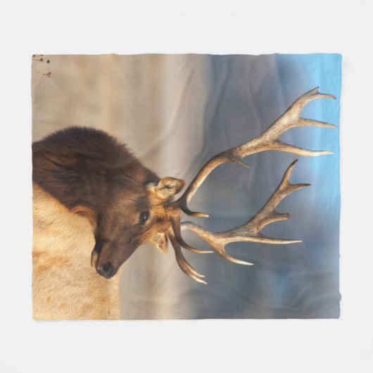 Couverture Polaire Portrait d'un bull (Devant (Horizontal))