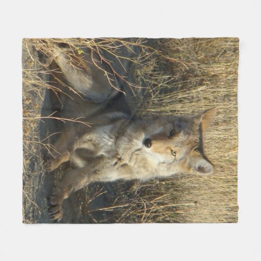 Couverture Polaire Pose du coyote R15 (Devant (Horizontal))