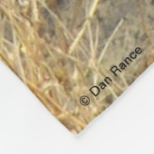 Couverture Polaire Pose du coyote R18 (Coin)