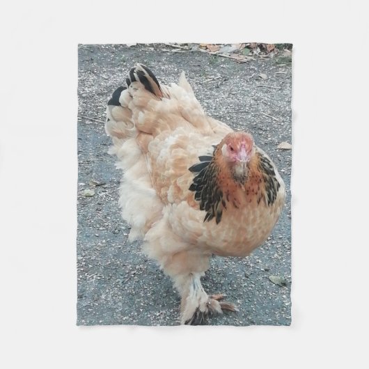 Couverture Polaire Poulet de Brahma prenant une balade (Devant)
