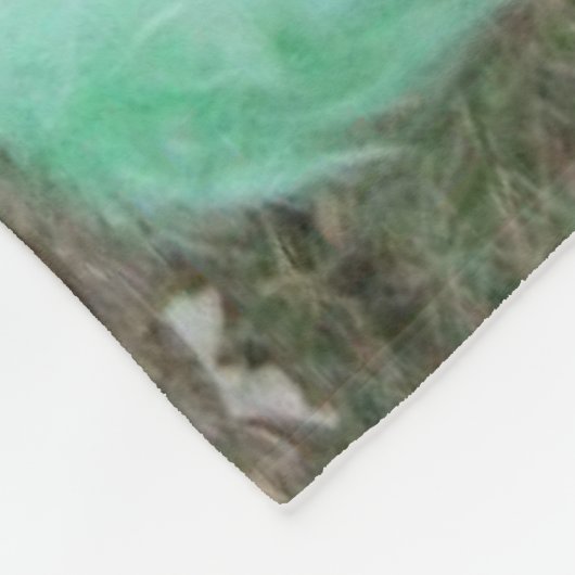 Couverture Polaire Poulets de Silkie teints par cravate dans des (Coin)