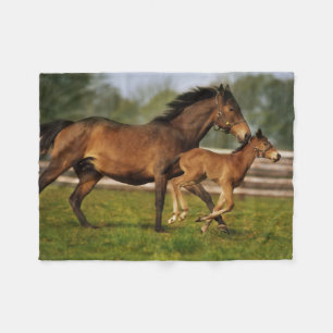 Couverture Polaire Poulinière Alezan Pur Sang et poulain