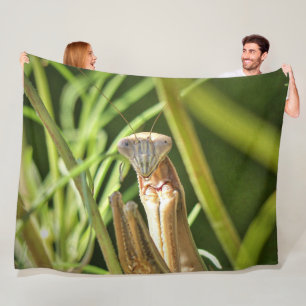 Couverture Polaire Prier Mantis