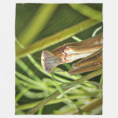 Couverture Polaire Prier Mantis (Devant)