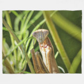 Couverture Polaire Prier Mantis (Devant (Horizontal))