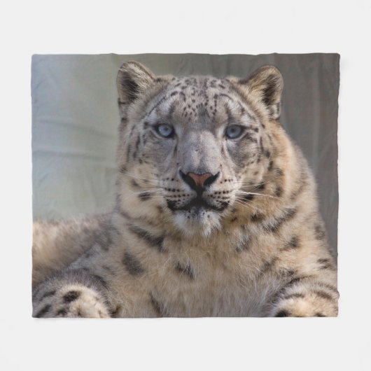 Couverture Polaire Prince Himalayen (Devant (Horizontal))