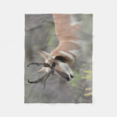 Couverture Polaire Pronghorn Antelope Buck | Grand Tétons (Devant)