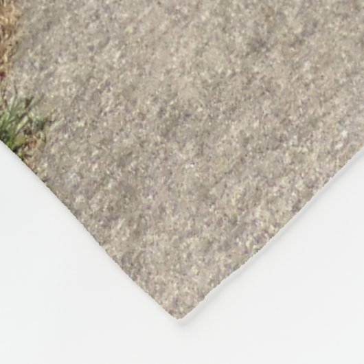 Couverture Polaire Proverbes 4:26 (Coin)