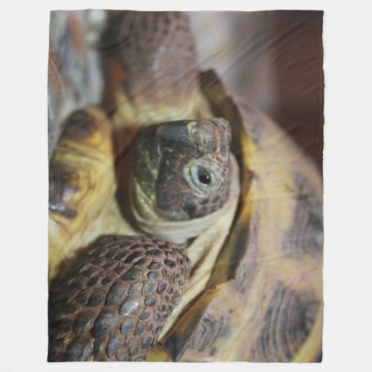 Couverture Polaire Puce Tibbs (Devant)