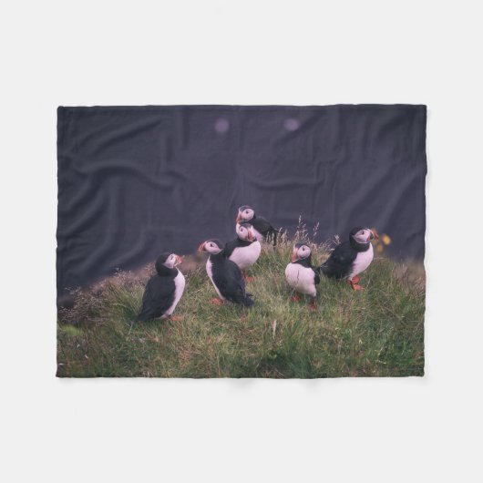 Couverture Polaire Puffins de l'Atlantique (Devant (Horizontal))