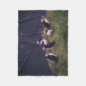 Couverture Polaire Puffins de l'Atlantique (Devant)