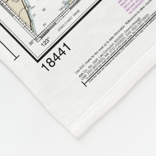 Couverture Polaire Puget Sound-Northern Part Graphique nautique 18441 (Coin)