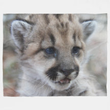 Puma CUB