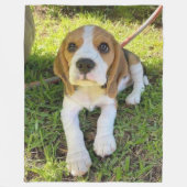 COUVERTURE POLAIRE PUP BEAGLE (Devant)