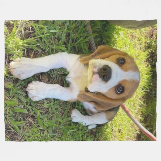 COUVERTURE POLAIRE PUP BEAGLE (Devant (Horizontal))