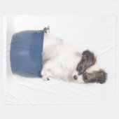 Couverture Polaire PUPPER dans une CAN (Devant (Horizontal))