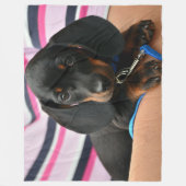 COUVERTURE POLAIRE PUPPY DE DACHSHUND (Devant)