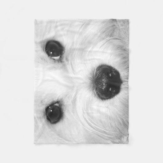 Couverture Polaire Puppy Love Maltese Magic en un coup d'oeil (Devant)