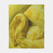 Couverture Polaire Python birman jaune (Devant)