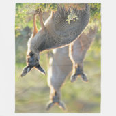 COUVERTURE POLAIRE QUOI DE PLUS ! KANGAROOS (Devant)