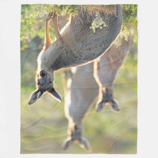 COUVERTURE POLAIRE QUOI DE PLUS ! KANGAROOS (Devant)