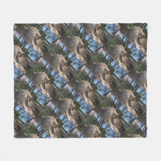 Couverture Polaire Quokka australienne endormie (Devant (Horizontal))