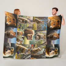 "Quokka Chronicles : Un Collage De Photos Plein De