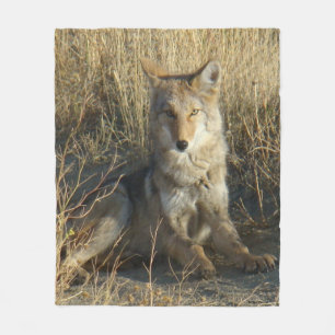 Couverture Polaire R15 Coyote Couché
