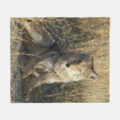 Couverture Polaire R15 Coyote Couché (Devant (Horizontal))